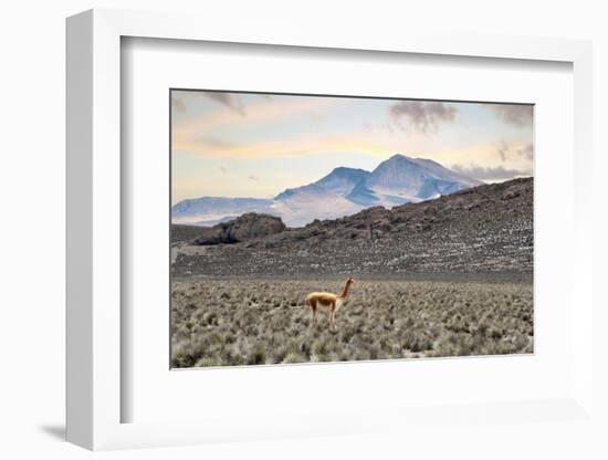 Colors of Peru - Lonely-Philippe HUGONNARD-Framed Photographic Print