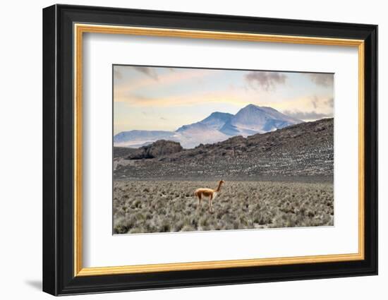 Colors of Peru - Lonely-Philippe HUGONNARD-Framed Photographic Print