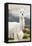 Colors of Peru - Mr. Llama-Philippe HUGONNARD-Framed Premier Image Canvas