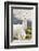 Colors of Peru - Mr. Llama-Philippe HUGONNARD-Framed Photographic Print