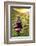 Colors of Peru - Quechua old Woman-Philippe HUGONNARD-Framed Photographic Print