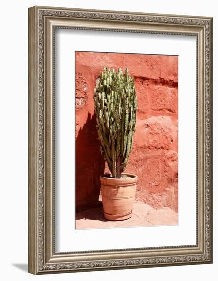 Colors of Peru - Terracotta Cactus-Philippe HUGONNARD-Framed Photographic Print