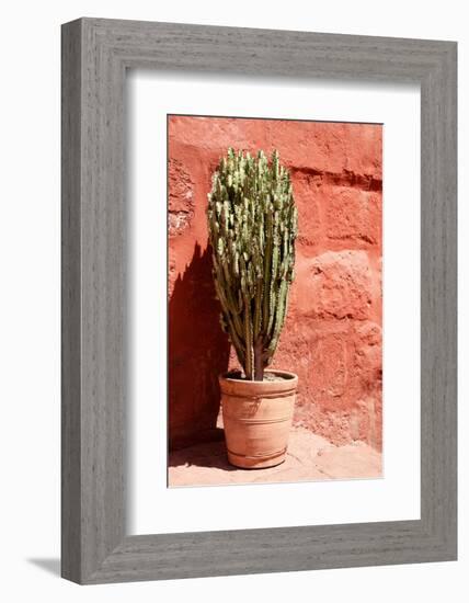 Colors of Peru - Terracotta Cactus-Philippe HUGONNARD-Framed Photographic Print