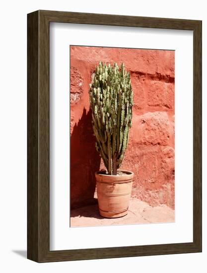 Colors of Peru - Terracotta Cactus-Philippe HUGONNARD-Framed Photographic Print