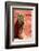 Colors of Peru - Terracotta Cactus-Philippe HUGONNARD-Framed Photographic Print