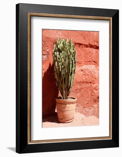 Colors of Peru - Terracotta Cactus-Philippe HUGONNARD-Framed Photographic Print