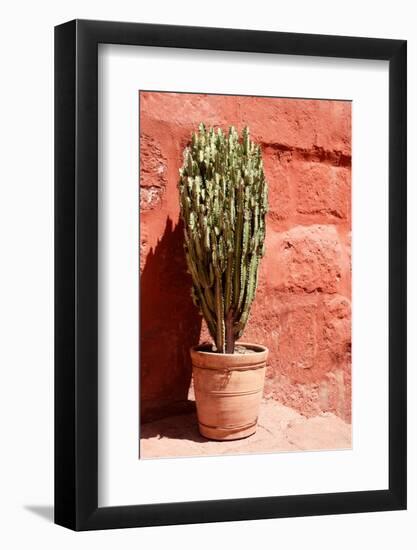 Colors of Peru - Terracotta Cactus-Philippe HUGONNARD-Framed Photographic Print