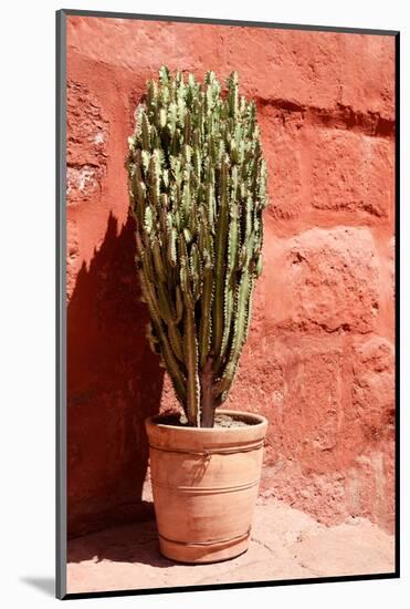 Colors of Peru - Terracotta Cactus-Philippe HUGONNARD-Mounted Photographic Print