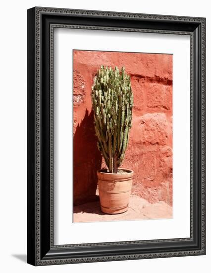 Colors of Peru - Terracotta Cactus-Philippe HUGONNARD-Framed Photographic Print