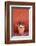 Colors of Peru - Terracotta-Philippe HUGONNARD-Framed Photographic Print