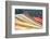 Colors of Peru - The Rainbow Mountain-Philippe HUGONNARD-Framed Photographic Print