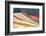 Colors of Peru - The Rainbow Mountain-Philippe HUGONNARD-Framed Photographic Print