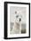 Colors of Peru - White Alpaca Portrait-Philippe HUGONNARD-Framed Photographic Print