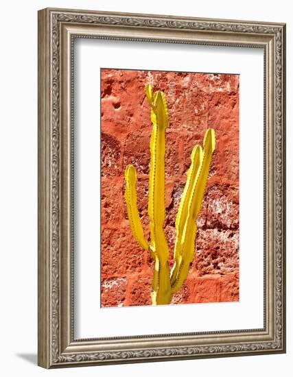 Colors of Peru - Yellow Cactus-Philippe HUGONNARD-Framed Photographic Print