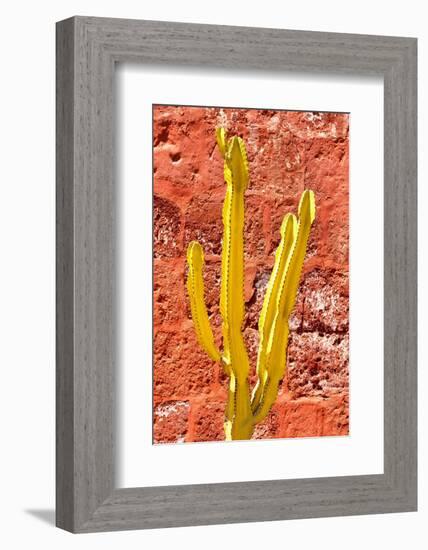 Colors of Peru - Yellow Cactus-Philippe HUGONNARD-Framed Photographic Print