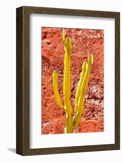 Colors of Peru - Yellow Cactus-Philippe HUGONNARD-Framed Photographic Print