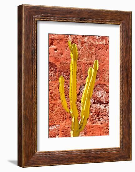 Colors of Peru - Yellow Cactus-Philippe HUGONNARD-Framed Photographic Print