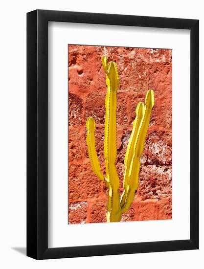 Colors of Peru - Yellow Cactus-Philippe HUGONNARD-Framed Photographic Print