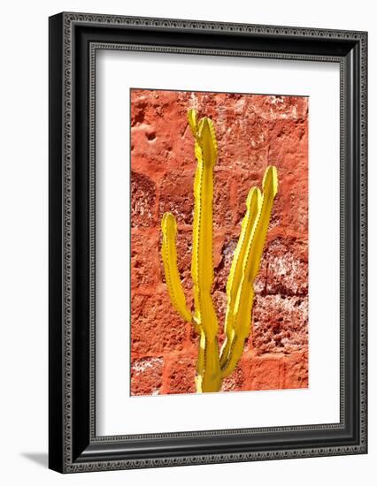 Colors of Peru - Yellow Cactus-Philippe HUGONNARD-Framed Photographic Print