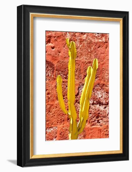 Colors of Peru - Yellow Cactus-Philippe HUGONNARD-Framed Photographic Print