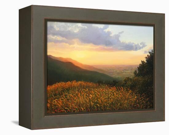 Colors Of The Light-kirilstanchev-Framed Stretched Canvas