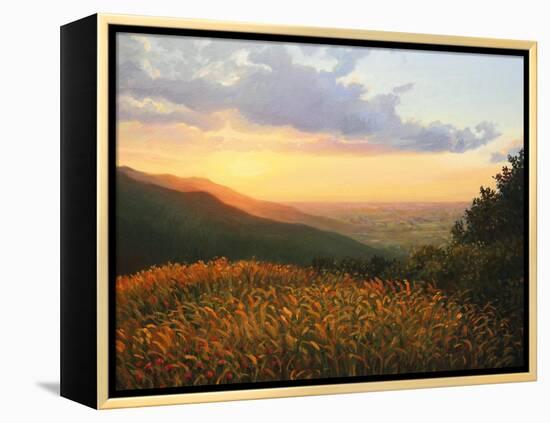 Colors Of The Light-kirilstanchev-Framed Stretched Canvas