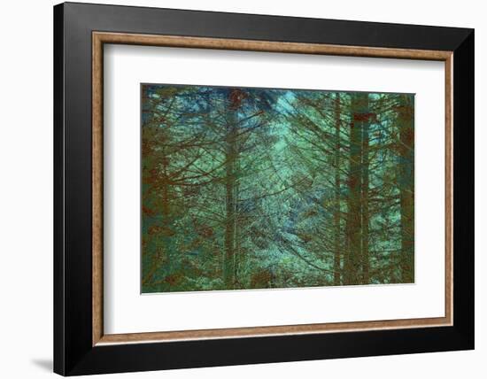 Colors Of The Morning-Jacob Berghoef-Framed Photographic Print