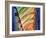 Colors of the Sagrada Familia-Steve Pearlman-Framed Art Print