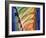 Colors of the Sagrada Familia-Steve Pearlman-Framed Art Print