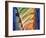 Colors of the Sagrada Familia-Steve Pearlman-Framed Art Print