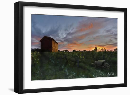 Colors Over The Vineyard-5fishcreative-Framed Giclee Print