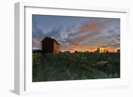 Colors Over The Vineyard-5fishcreative-Framed Giclee Print