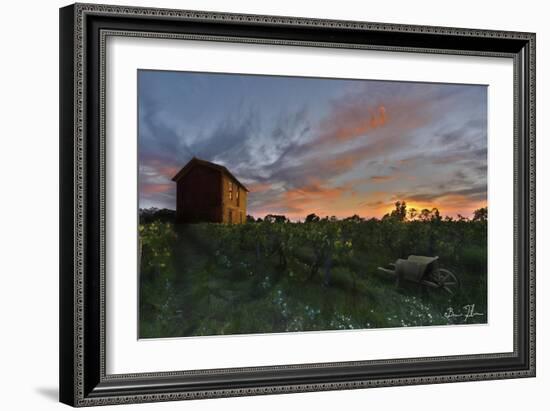 Colors Over The Vineyard-5fishcreative-Framed Giclee Print