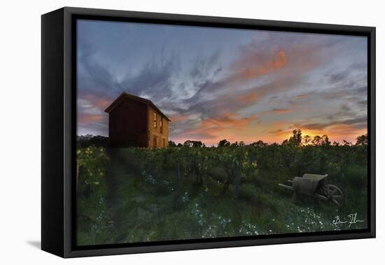 Colors Over The Vineyard-5fishcreative-Framed Premier Image Canvas