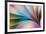 Colors-Mazin alrasheed alzain-Framed Photographic Print