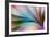 Colors-Mazin alrasheed alzain-Framed Photographic Print