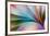 Colors-Mazin alrasheed alzain-Framed Photographic Print