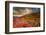 Colors-Marco Carmassi-Framed Photographic Print