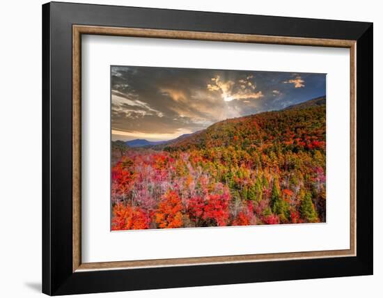 Colors-Marco Carmassi-Framed Photographic Print