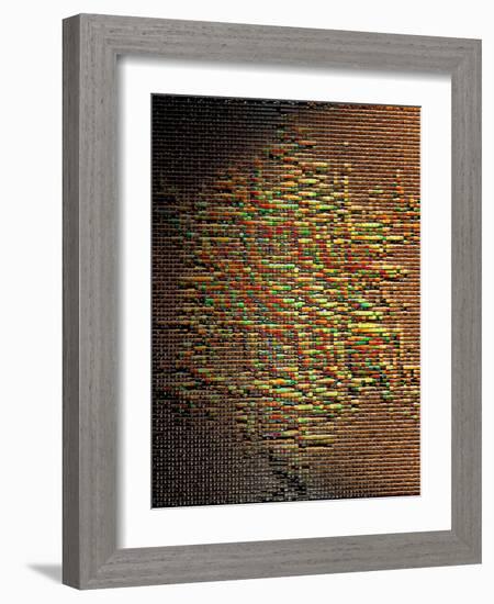 Colorwall-Ruth Palmer 3-Framed Art Print