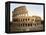 Colosseum, 1890s-Science Source-Framed Premier Image Canvas