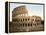 Colosseum, 1890s-Science Source-Framed Premier Image Canvas