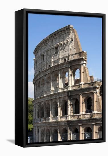 Colosseum, Ancient Roman Forum, Rome, Lazio, Italy-James Emmerson-Framed Premier Image Canvas