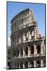 Colosseum, Ancient Roman Forum, Rome, Lazio, Italy-James Emmerson-Mounted Photographic Print