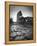 Colosseum and Via Sacra, Rome, Italy-Michele Falzone-Framed Premier Image Canvas