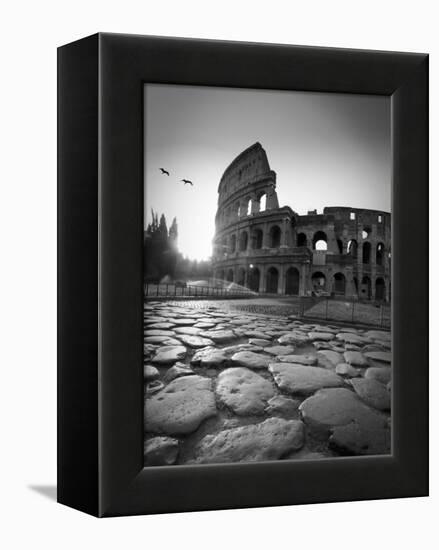 Colosseum and Via Sacra, Rome, Italy-Michele Falzone-Framed Premier Image Canvas