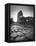 Colosseum and Via Sacra, Rome, Italy-Michele Falzone-Framed Premier Image Canvas