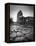 Colosseum and Via Sacra, Rome, Italy-Michele Falzone-Framed Premier Image Canvas