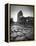 Colosseum and Via Sacra, Rome, Italy-Michele Falzone-Framed Premier Image Canvas