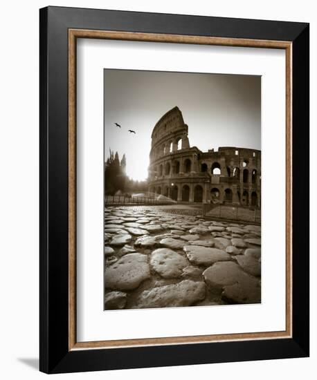 Colosseum and Via Sacra, Rome, Italy-Michele Falzone-Framed Photographic Print